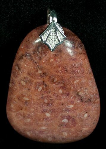 Red Fossil Coral Pendant - Million Years Old #6000